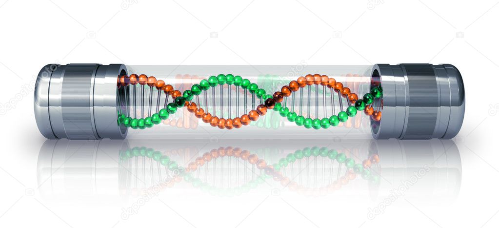 DNA molecule in hermetic capsule