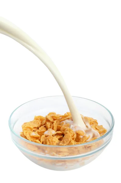 Cereal flakes breakfast — Stock Photo, Image