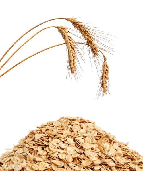 Cereal flakes and wheat — Stock Photo, Image