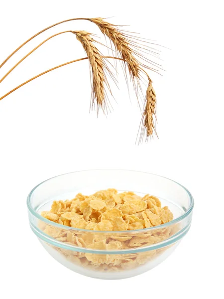 Getreideflocken-Frühstück — Stockfoto