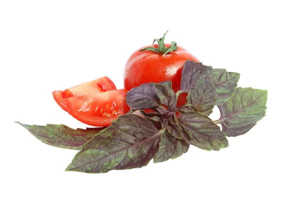 Tomaten und Basilikum — Stockfoto