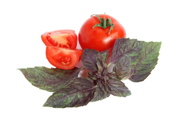 토마토와 바 질 — 스톡 사진