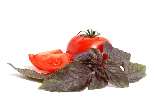Tomat och basilika — Stockfoto