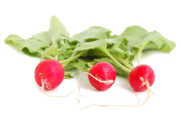 Fresh radish — Stock Photo, Image