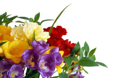Bouquet of freesias clipart