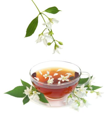 Jasmine tea clipart