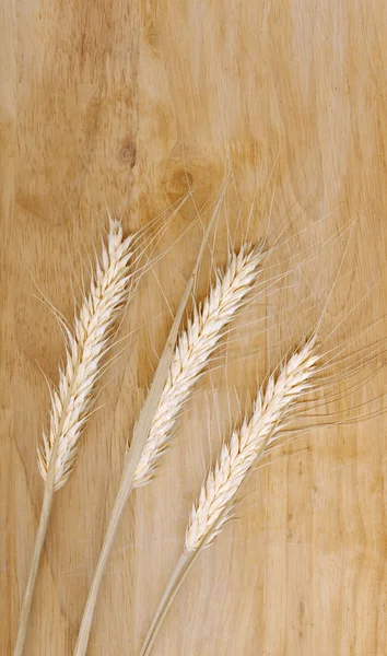 Buğday sapları — Stok fotoğraf