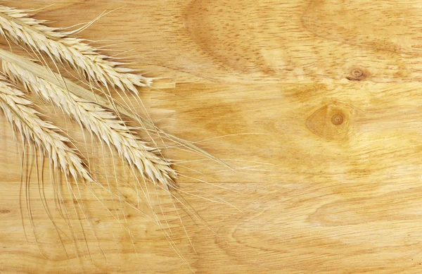 Пшеничные стебли — стоковое фото