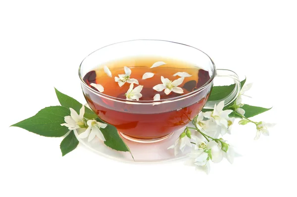 Jasmínový čaj — Stock fotografie