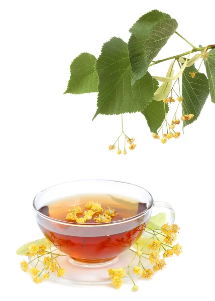 Τσάι με linden λουλούδια — Φωτογραφία Αρχείου