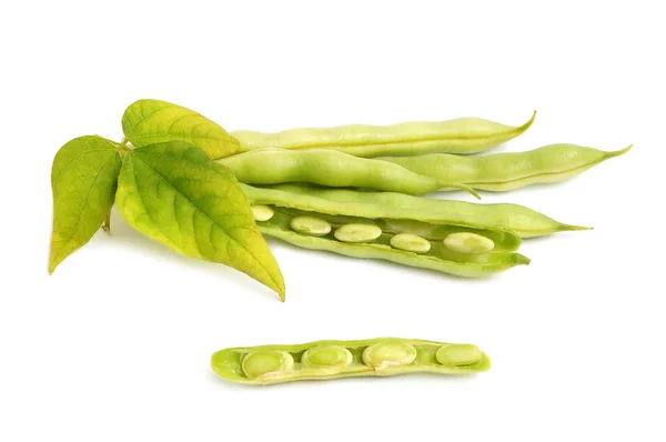 フランスの緑の豆 — ストック写真