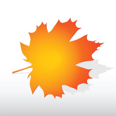 akçaağaç yaprağı