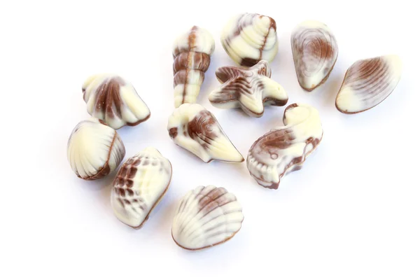 チョコレートの貝殻 — ストック写真