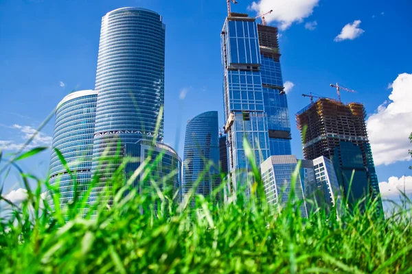 Skyscrapers and grass — Stock Photo, Image