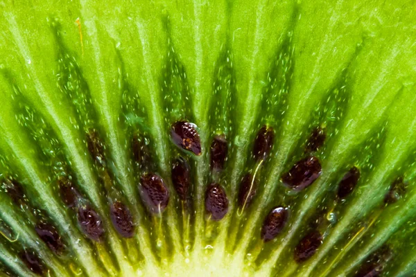 Färsk kiwi — Stockfoto