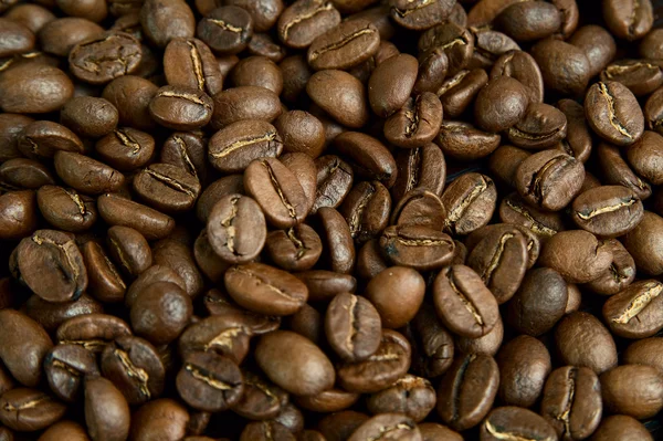 Granos de café, con copyspace — Foto de Stock
