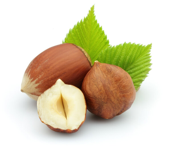 Фильберт с листьями
