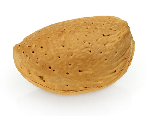 One almond — Stock Photo, Image