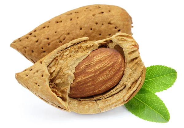 Two almonds with leaves — Stock Photo, Image