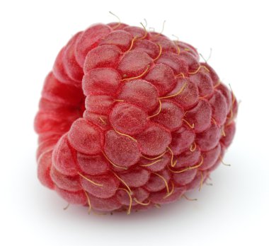 Raspberry on a white background clipart