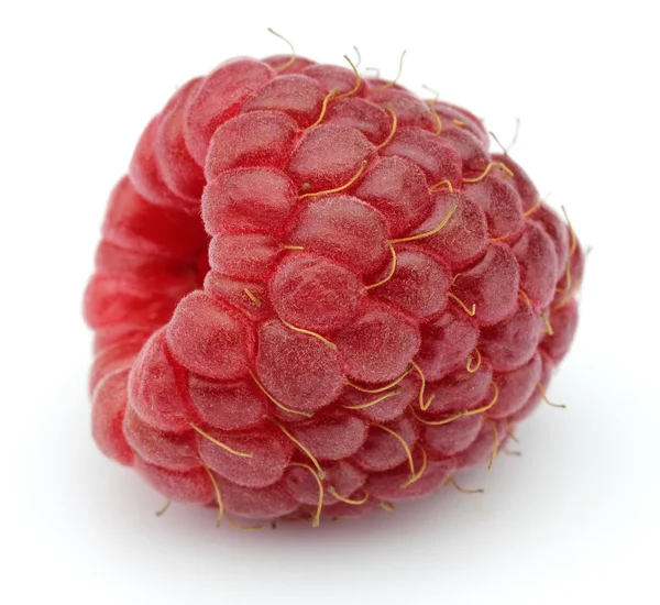 Raspberry on a white background — Stock Photo, Image