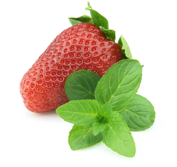 Frische Erdbeere mit Minze — Stockfoto