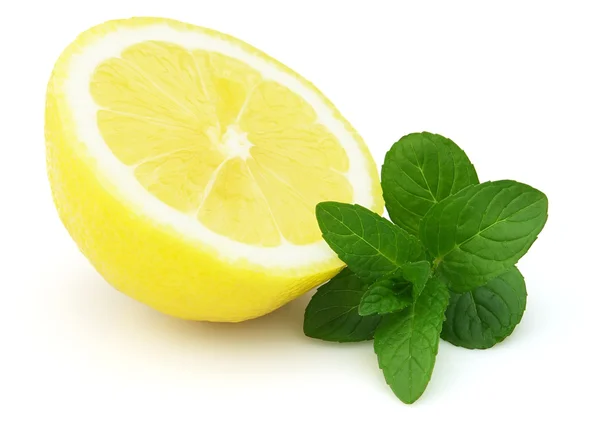 Citron s mátou — Stock fotografie