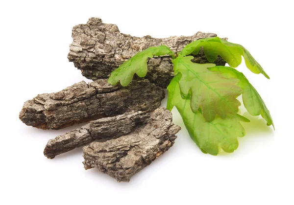 Corteccia di quercia con foglie — Foto Stock