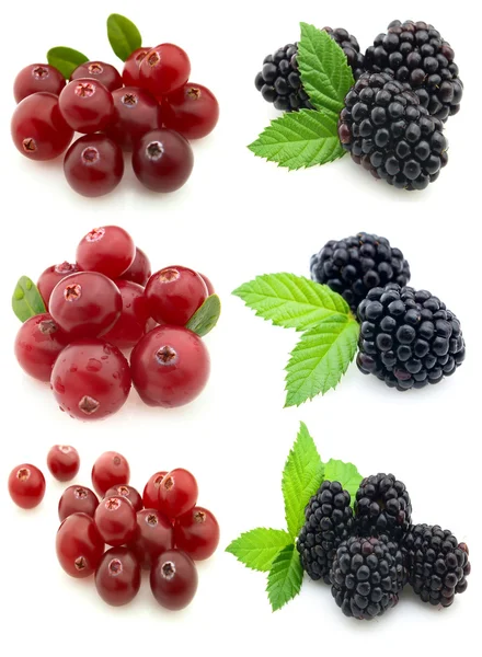 Amora preta com cranberry — Fotografia de Stock