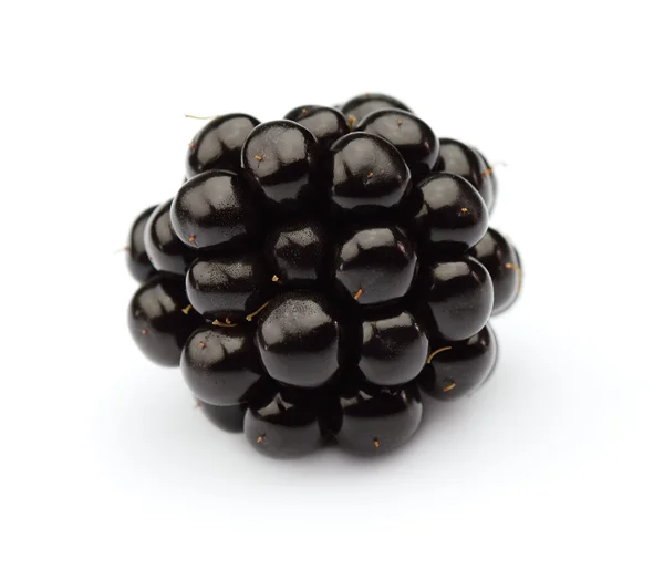 One blackberry — Stock Photo, Image