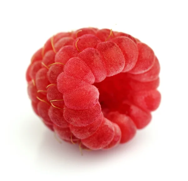 Sweet raspberry — Fotografie, imagine de stoc