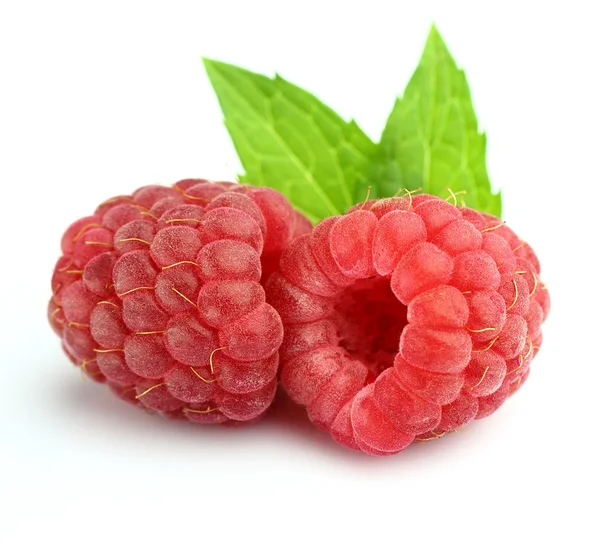 Fresh raspberry with leaves of peppermint — Stock Photo, Image