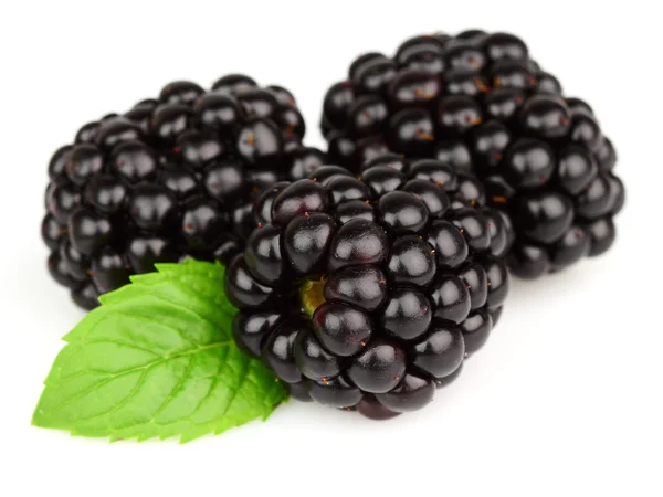 Blackberry with leaves of mint — Stock Photo, Image