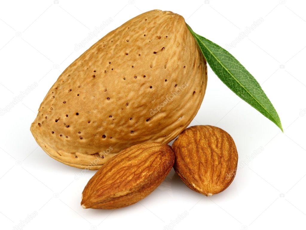 Almonds with kernel — Stock Photo © Dionisvera 6310559
