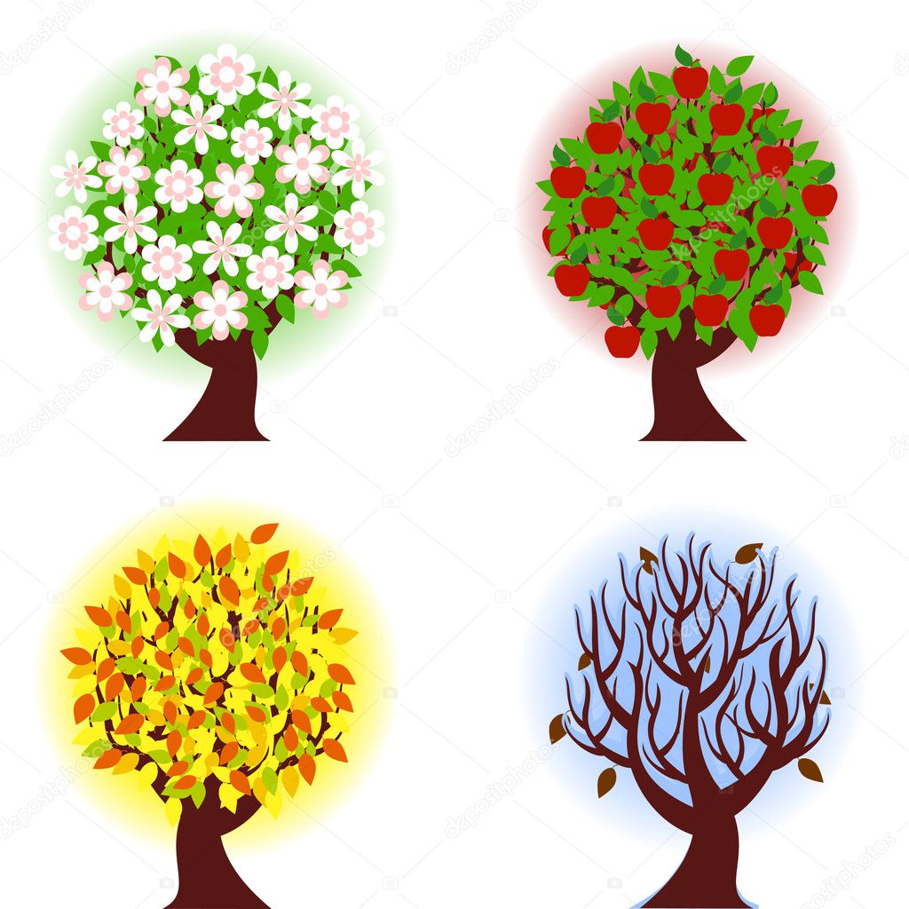 Vector illustration of the four seasons of apple tree.