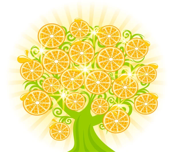 Ilustración vectorial de un árbol con rodajas de naranjas . — Archivo Imágenes Vectoriales