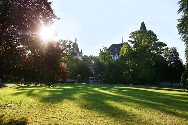 stock image Vajdahunyad Castle