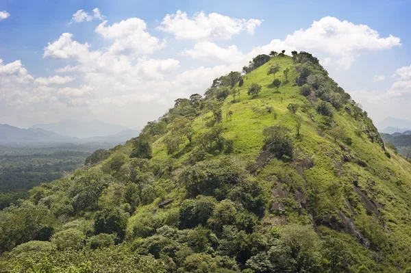 Sri lanka berg — Stockfoto