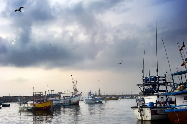 Puerto en Sri Lanka — Foto de Stock