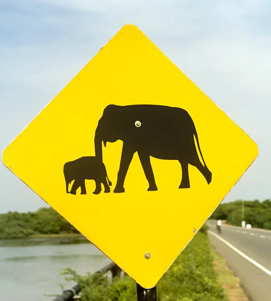 Signe d'éléphant — Photo