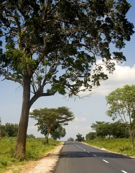 Strada di campagna in Sri Lanka — Foto Stock