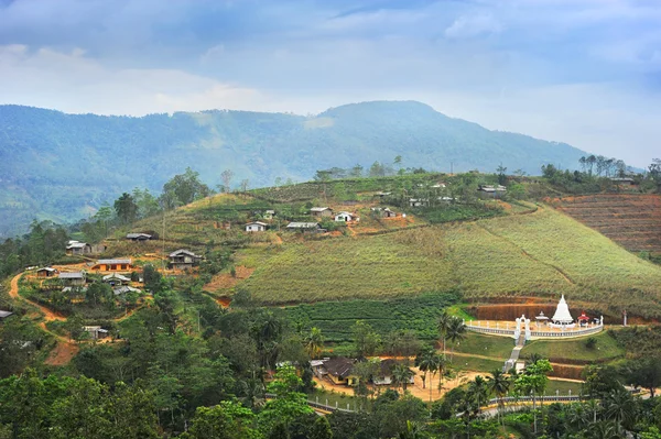 Sri Lankalı Köyü — Stok fotoğraf