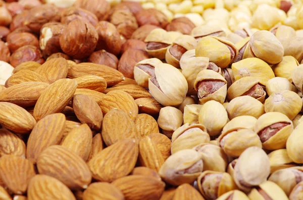 Various nuts Stock Image