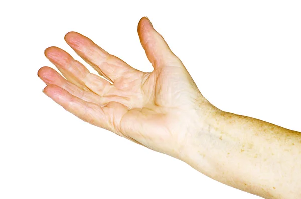 Hand on a white — Stock Photo, Image