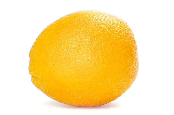 橙子 图库图片