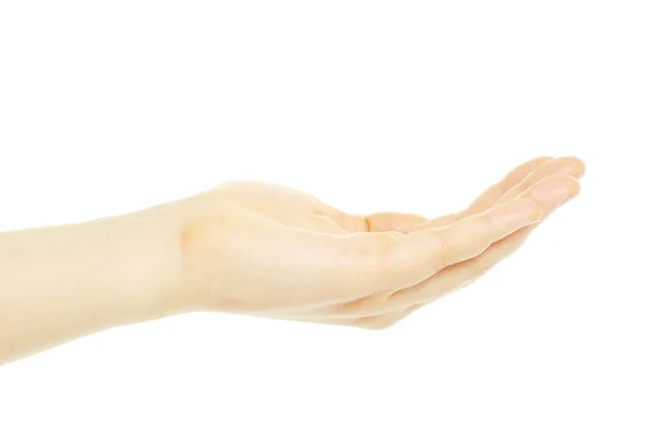 Mão sobre branco — Fotografia de Stock