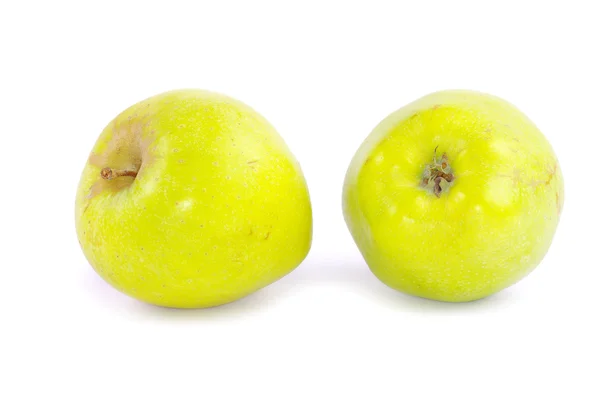 Яблука на білому — стокове фото