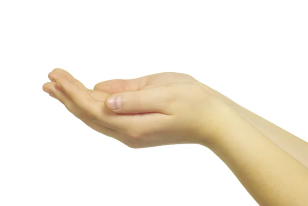 Boş kadın eller — Stok fotoğraf