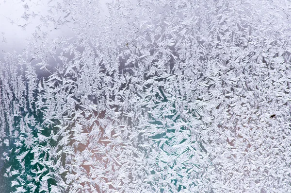 Padrão natural gelado — Fotografia de Stock