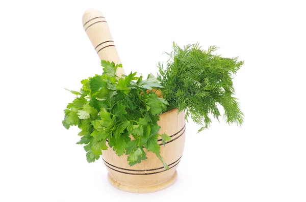 stock image Herbs on white